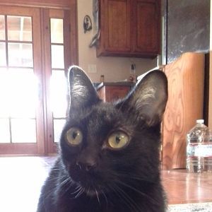 Meet your Posher, Tracy